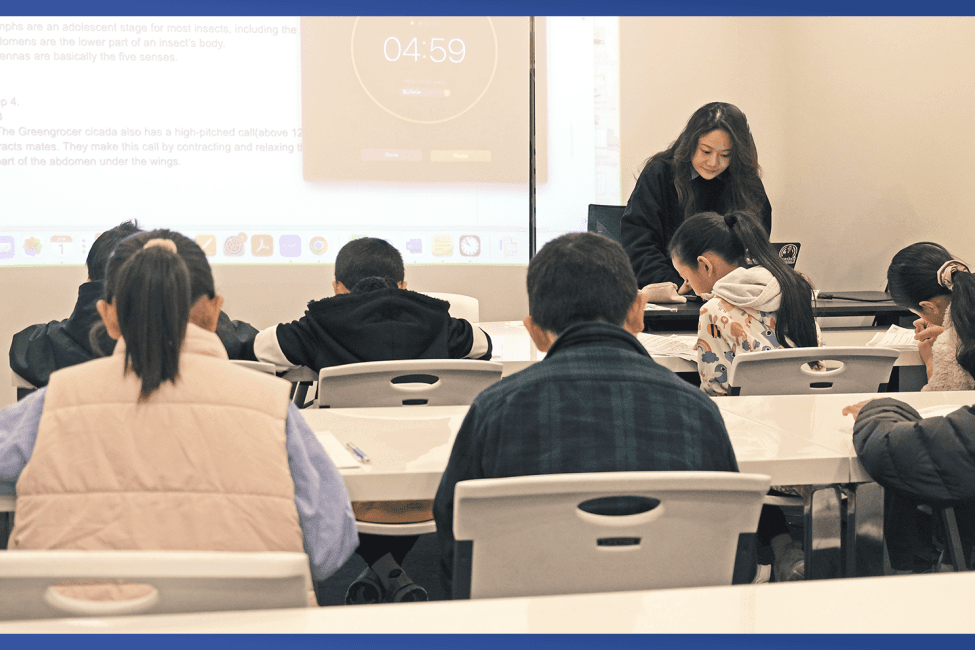 Targeted Writing Training